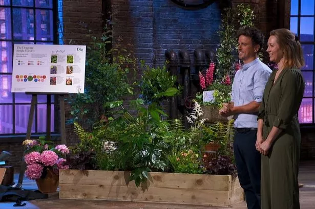 Dragons' Den offer for Wiltshire gardening company Dig